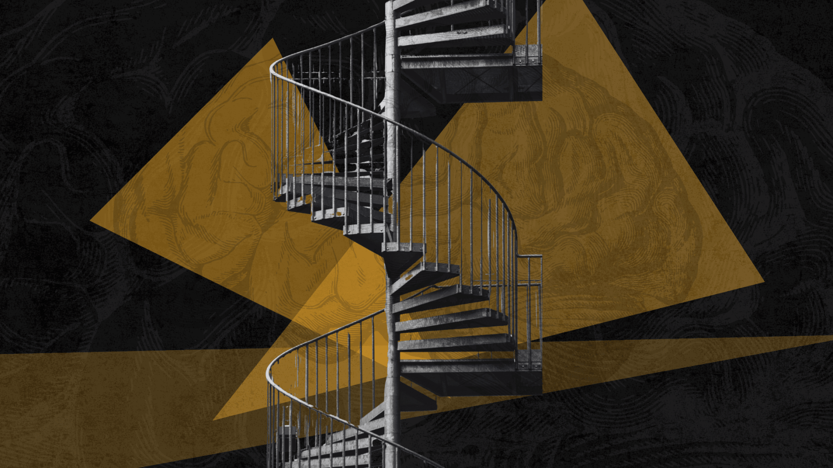 ‘Harvard Thinking’: The things we carry